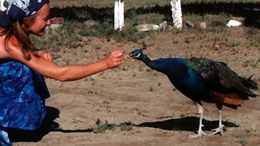 Camping, Baja, San Quintin