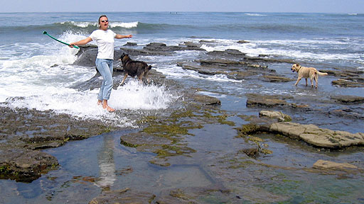 www.Co-Dog.com: Sunset Cliffs, San Diego, near North Garbage/South Garbage